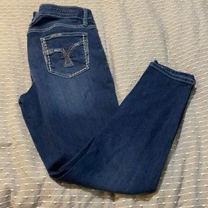 Vigoss Skinny Jean